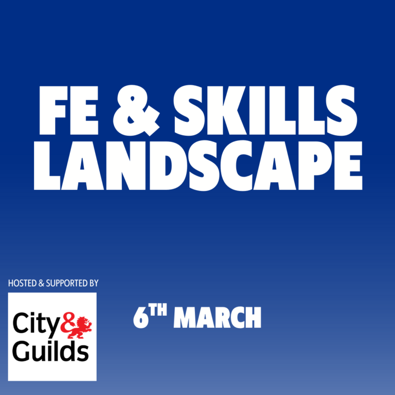 fe and skills landscape graphic